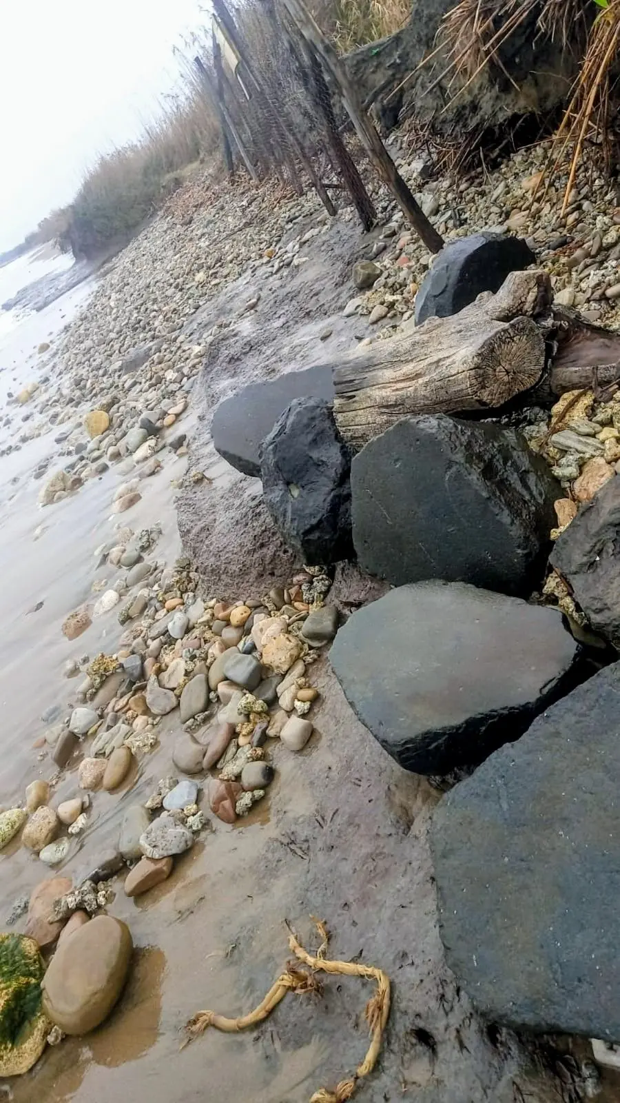 Sotto la sabbia spunta un’antica strada romana: «Era già successo»