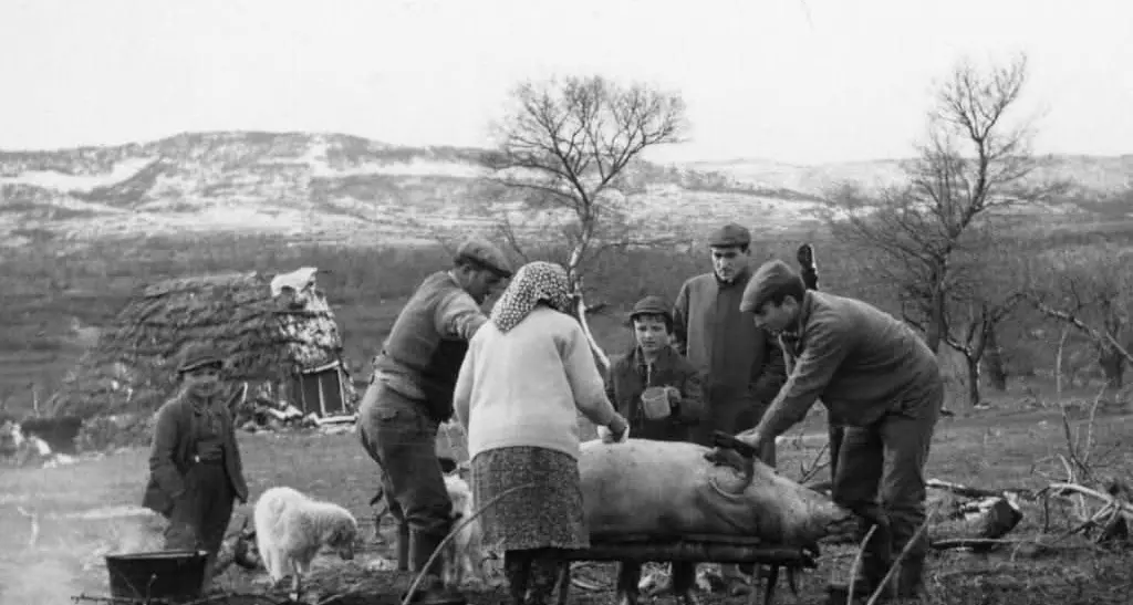 La Festa dell’Immacolata e la tradizione della carne