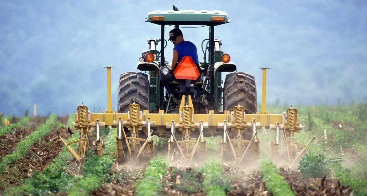 «L’agricoltura nella Tuscia è in ginocchio»