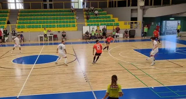 Futsal, evita il volo del calabrone