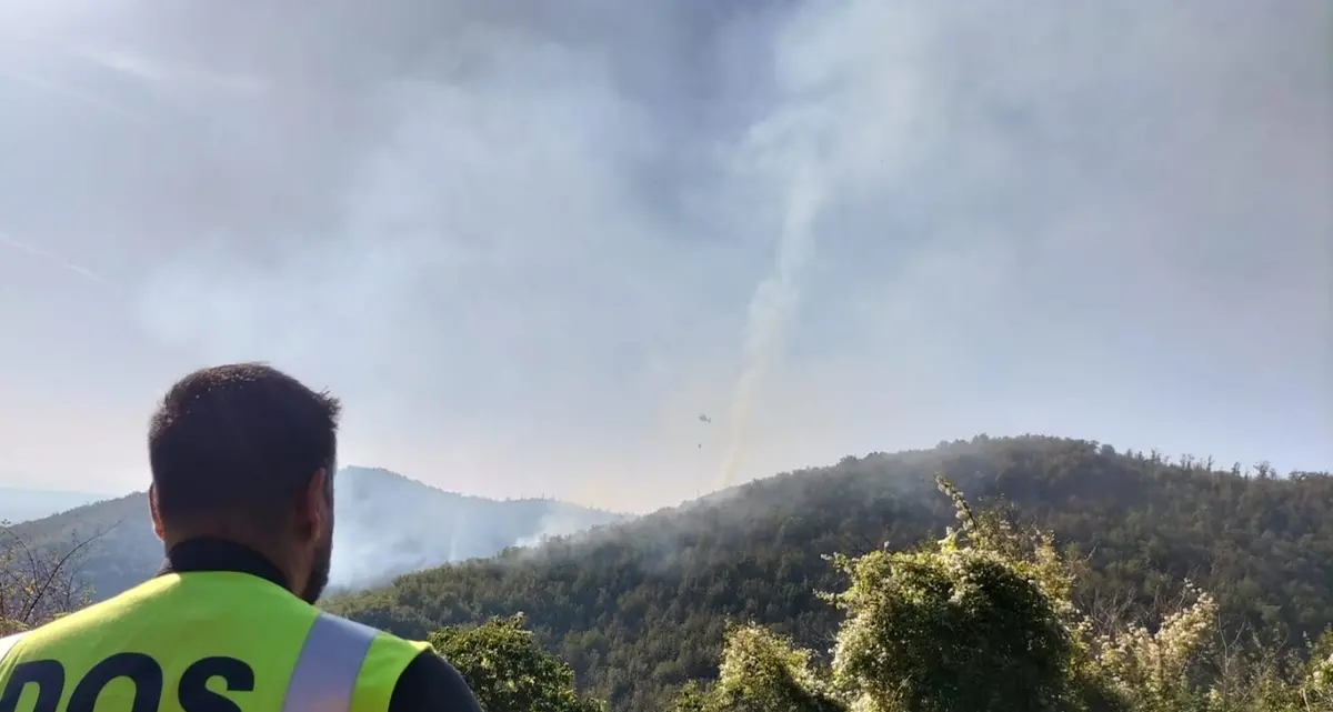 Vasto incendio divora ettari di bosco a Canepina