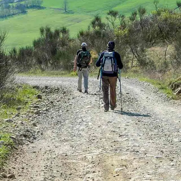 Via Francigena candidata a patrimonio Unesco