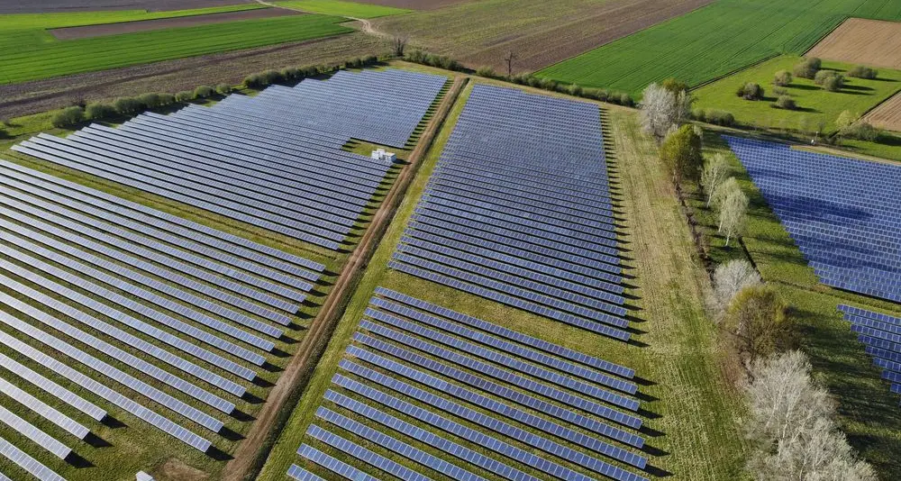 Socciarelli: «Prima di lanciare accuse sarebbe bastato leggere i documenti»