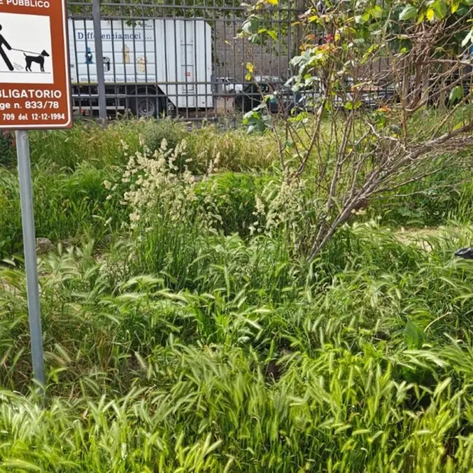 «Prato giardino in un degrado mai visto»