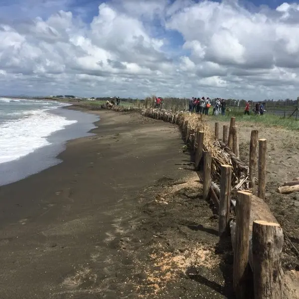 Oltre 5 milioni per la ricostruzione della spiaggia delle Saline di Tarquinia
