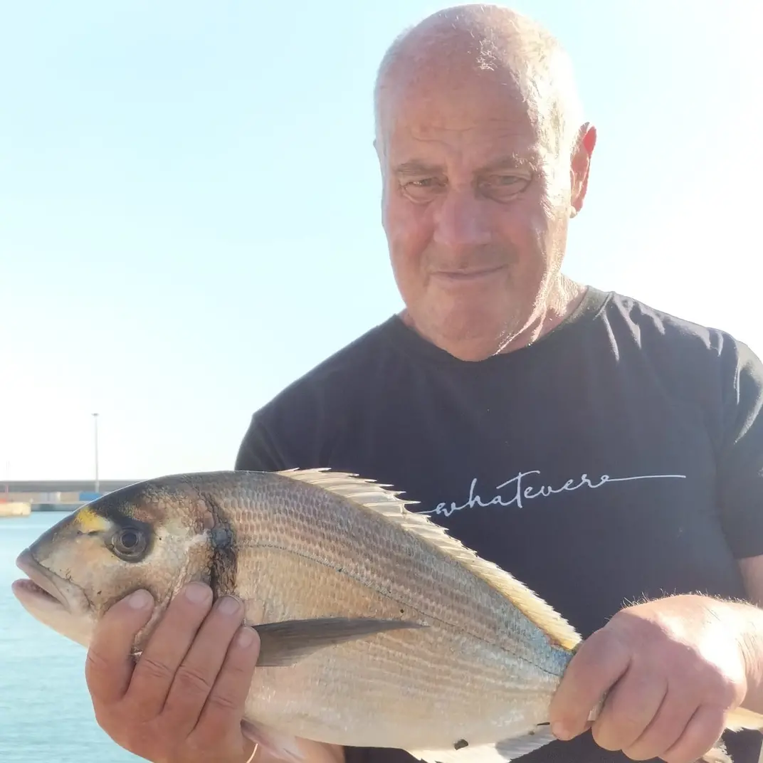 Addio a Livio, l'anima gentile del porto