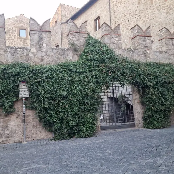 Viterbo: anziani non autosufficienti a San Carluccio