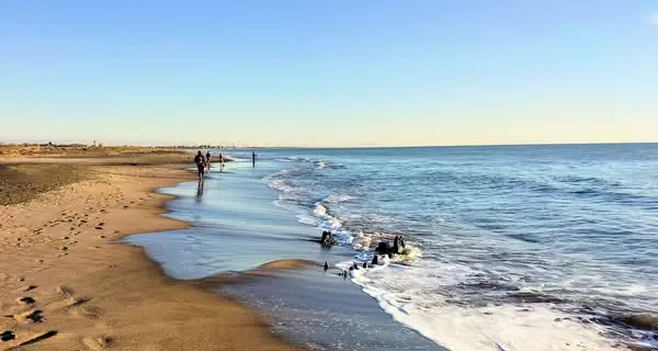 Punta da una siringa abbandonata in spiaggia, «sono preoccupatissima»