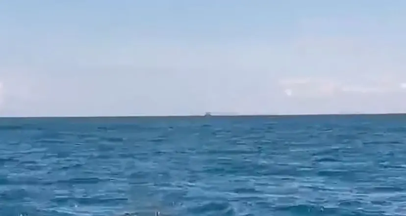 Delfini in acqua a Tarquinia e Santa Marinella: uno spettacolo durante la processione “Maria stella del mare” (video)
