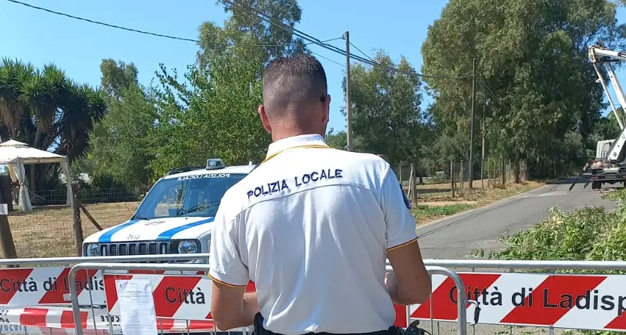 Alberi a rischio, i vigili chiudono via Monteroni