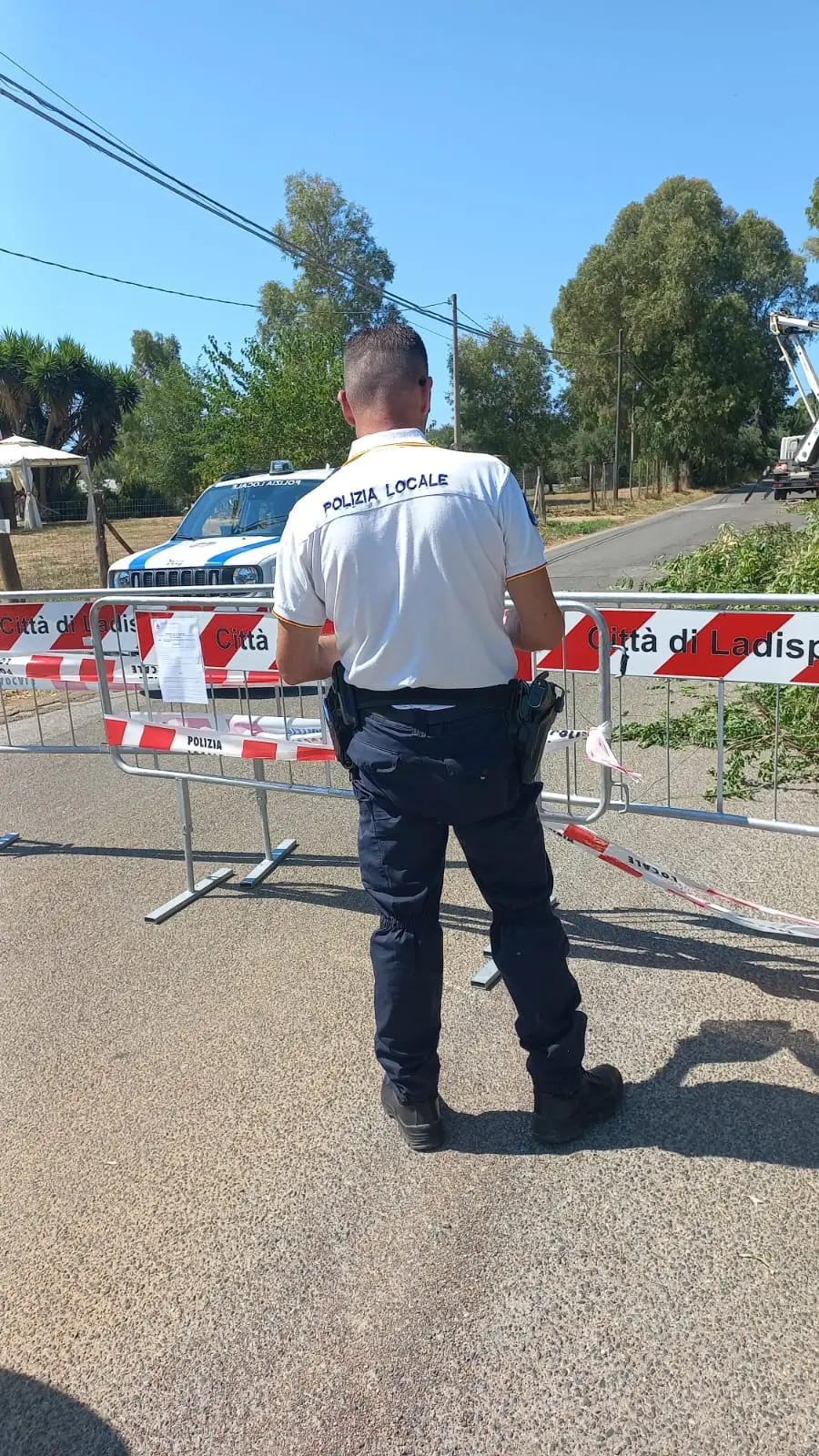 Alberi a rischio, i vigili chiudono via Monteroni