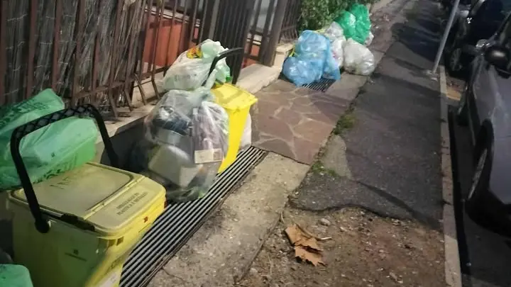 Mecozzi: «Un sistema che sta mostrando tutti i suoi limiti»