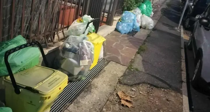 Mecozzi: «Un sistema che sta mostrando tutti i suoi limiti»