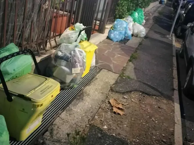 Mecozzi: «Un sistema che sta mostrando tutti i suoi limiti»