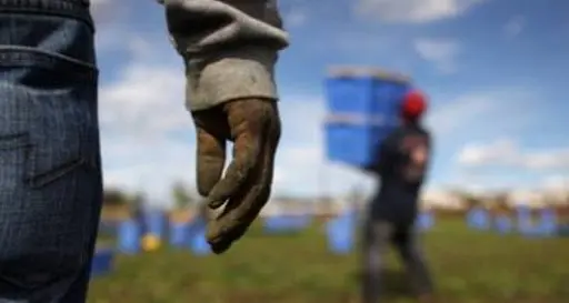 «Basta con i braccianti agricoli costretti a lavorare sotto il sole cocente»