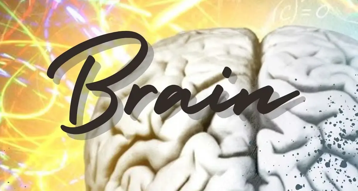 Granari, sul palco arriva “Brain”