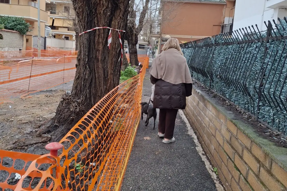 «Lavori lenti e pochi parcheggi in centro»