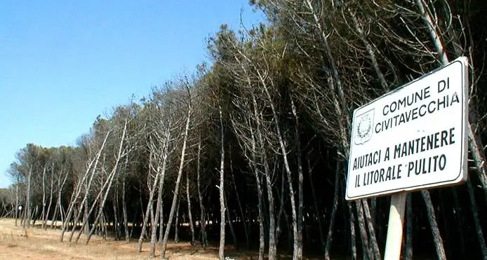 Frasca, Bioma: «Sabato una mattinata di semina diretta in bosco»