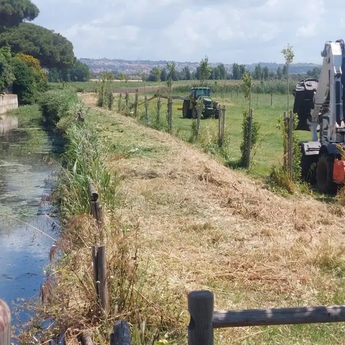 Fossi e canali, il Consorzio di bonifica ha concluso la manutenzione idraulica