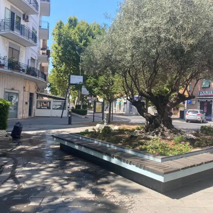 Caos a Largo Monsignor D’Ardia, militari evitano il peggio