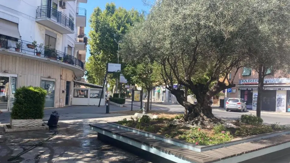 Caos a Largo Monsignor D’Ardia, militari evitano il peggio