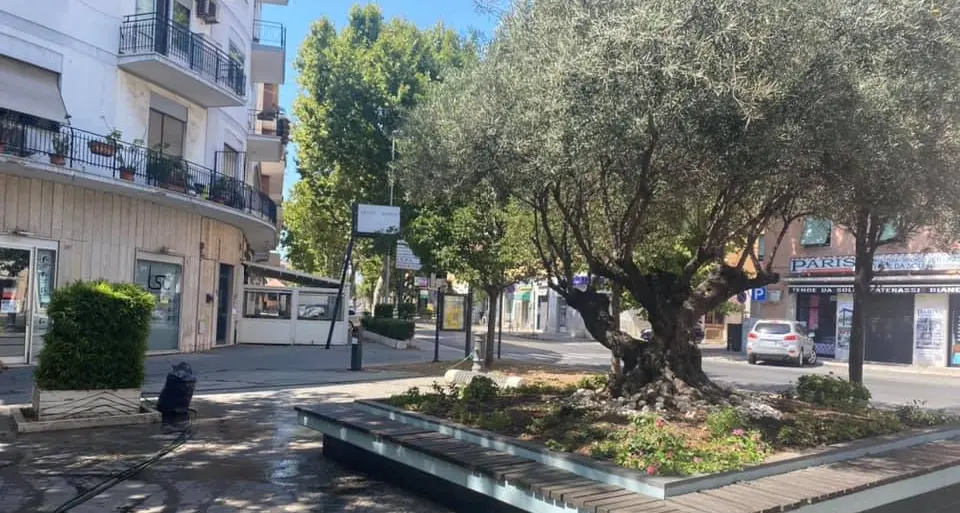 Caos a Largo Monsignor D’Ardia, militari evitano il peggio