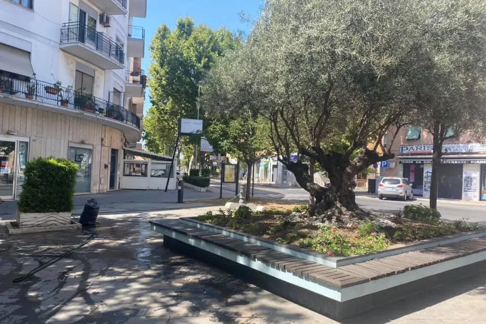 Caos a Largo Monsignor D’Ardia, militari evitano il peggio