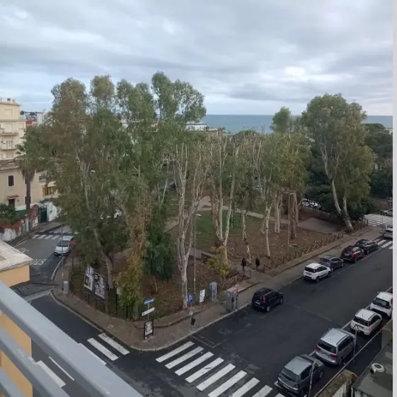 Piazza Verdi, saranno abbattuti cinque alberi