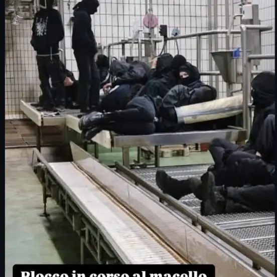 Blitz al mattatoio, in 34 a processo