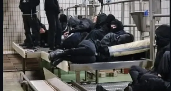 Blitz al mattatoio, in 34 a processo