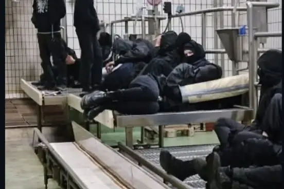 Blitz al mattatoio, in 34 a processo