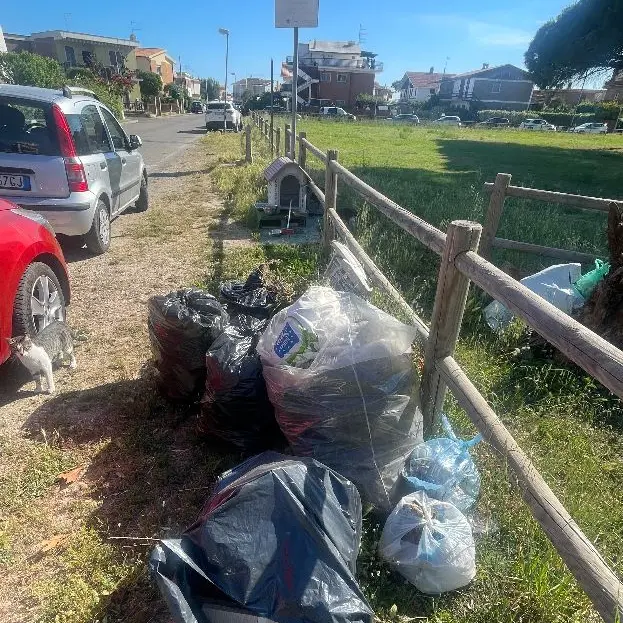 Tarquinia, una discarica a cielo aperto in via dei Vascelli