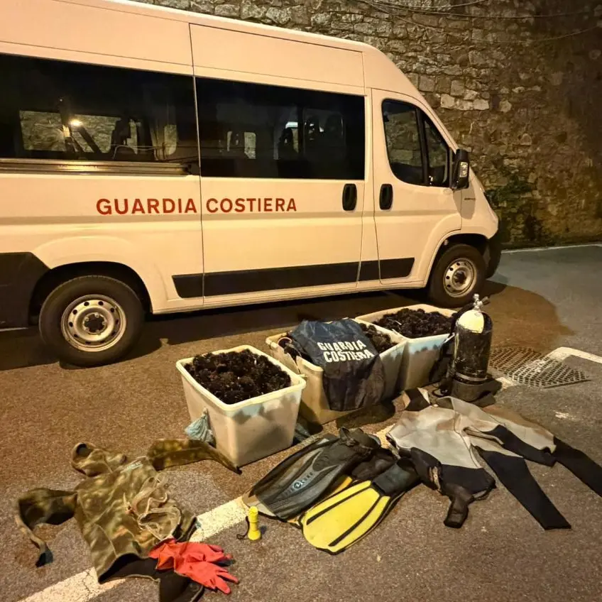 Guardia costiera, sequestrati a Santa Marinella cinquemila ricci di mare