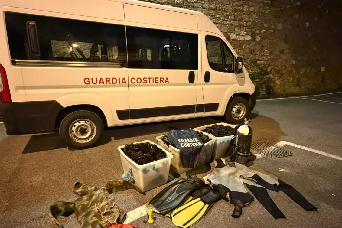 Guardia costiera, sequestrati a Santa Marinella cinquemila ricci di mare