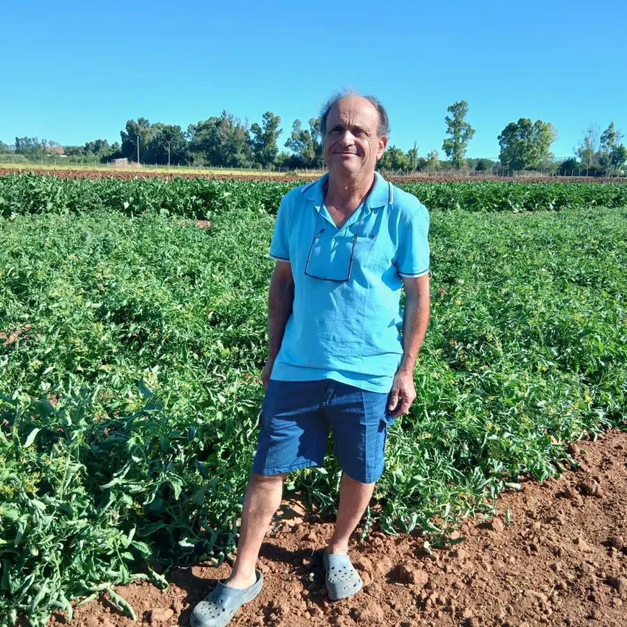 «I nostri prodotti rovinati dal caldo: raccolti in perdita»