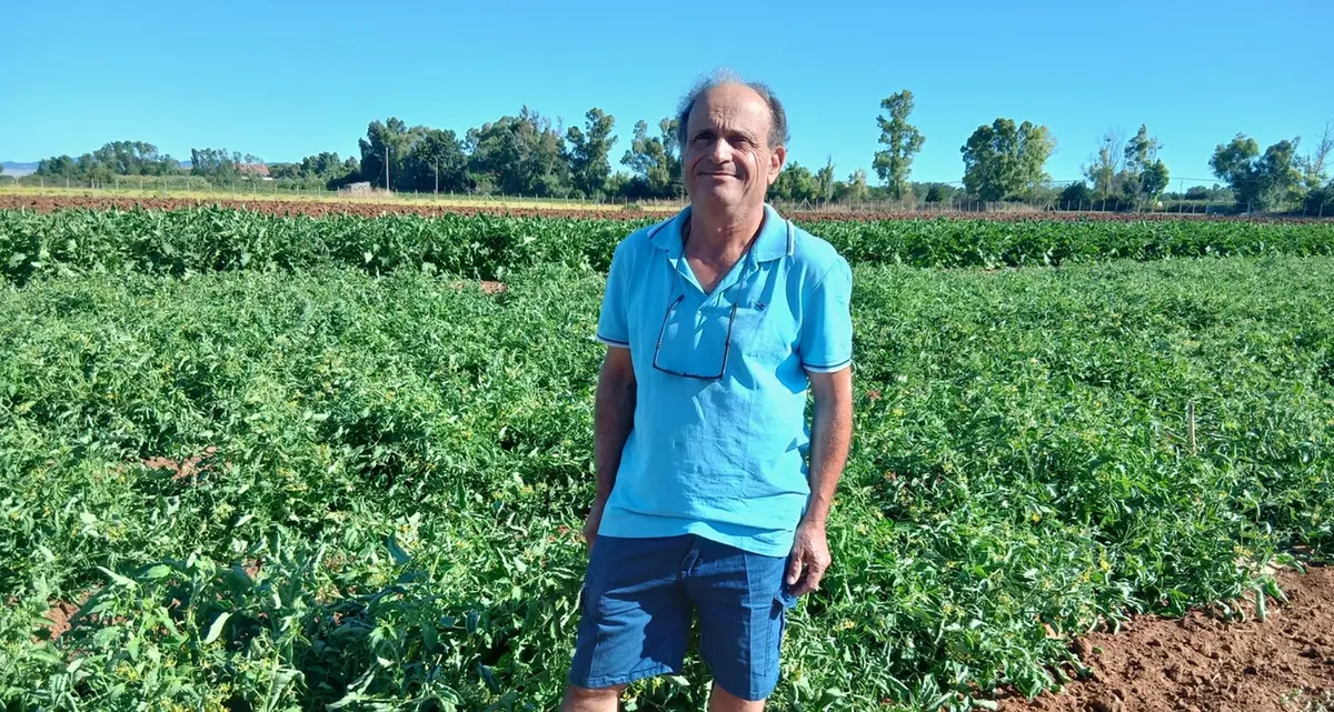 «I nostri prodotti rovinati dal caldo: raccolti in perdita»