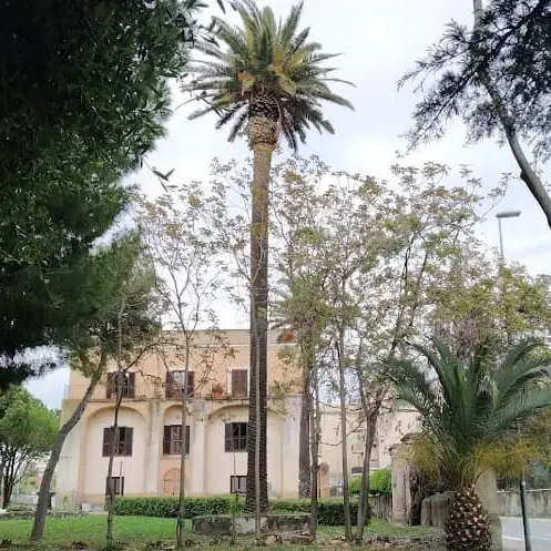 Natale e Capodanno, cambia l’orario degli uffici Csp