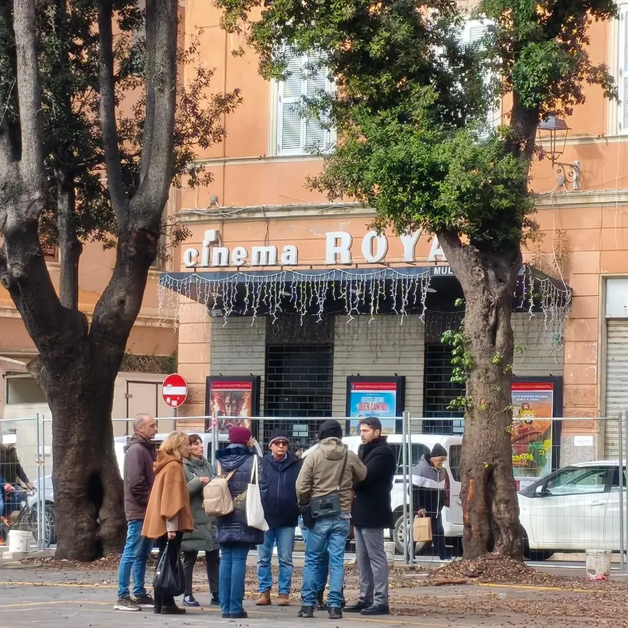 Piazza Regina Margherita, il Comitato salviamo gli alberi: «Ostinazione del Sindaco»