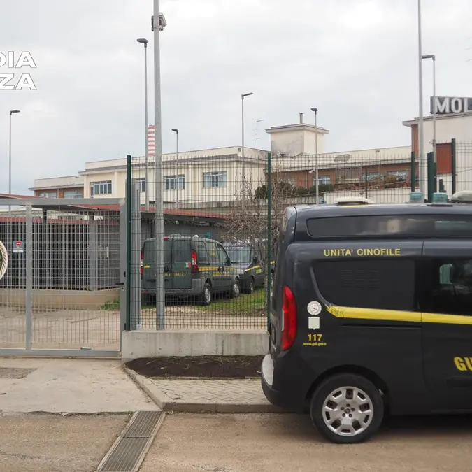 Gdf, nuova area per l’addestramento delle unità cinofile