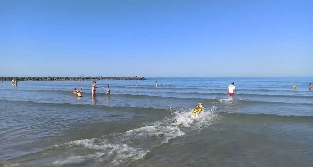 Mare, sicurezza a Torre Flavia: si punta sui cani bagnino