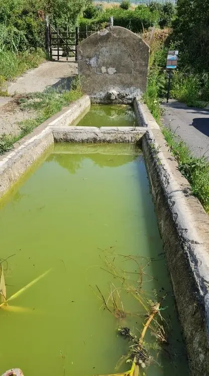 Santa Marinella, il fontanile della Quartaccia abbandonato