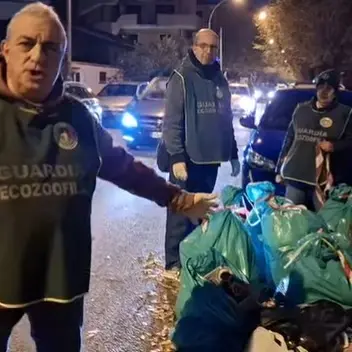 Abbandono rifiuti, «chi lo fa è un terrorista»