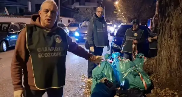 Abbandono rifiuti, «chi lo fa è un terrorista»