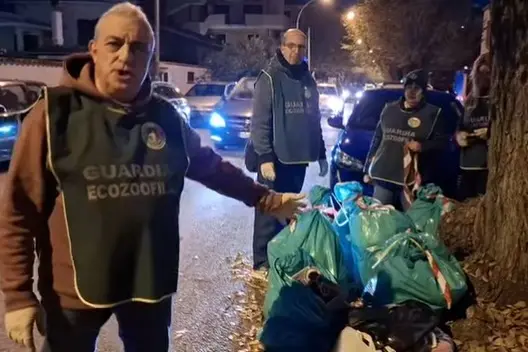 Abbandono rifiuti, «chi lo fa è un terrorista»