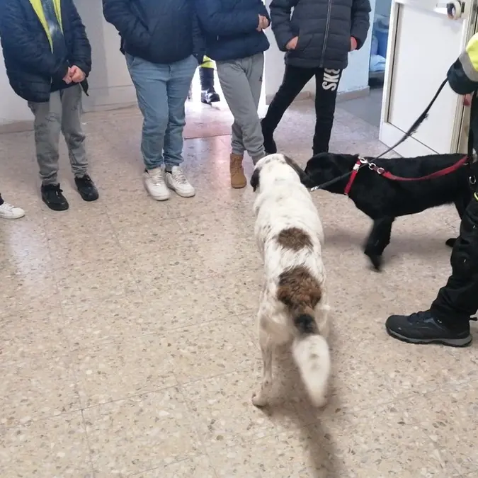 Soccorso e ricerche, quando gli alunni diventano volontari