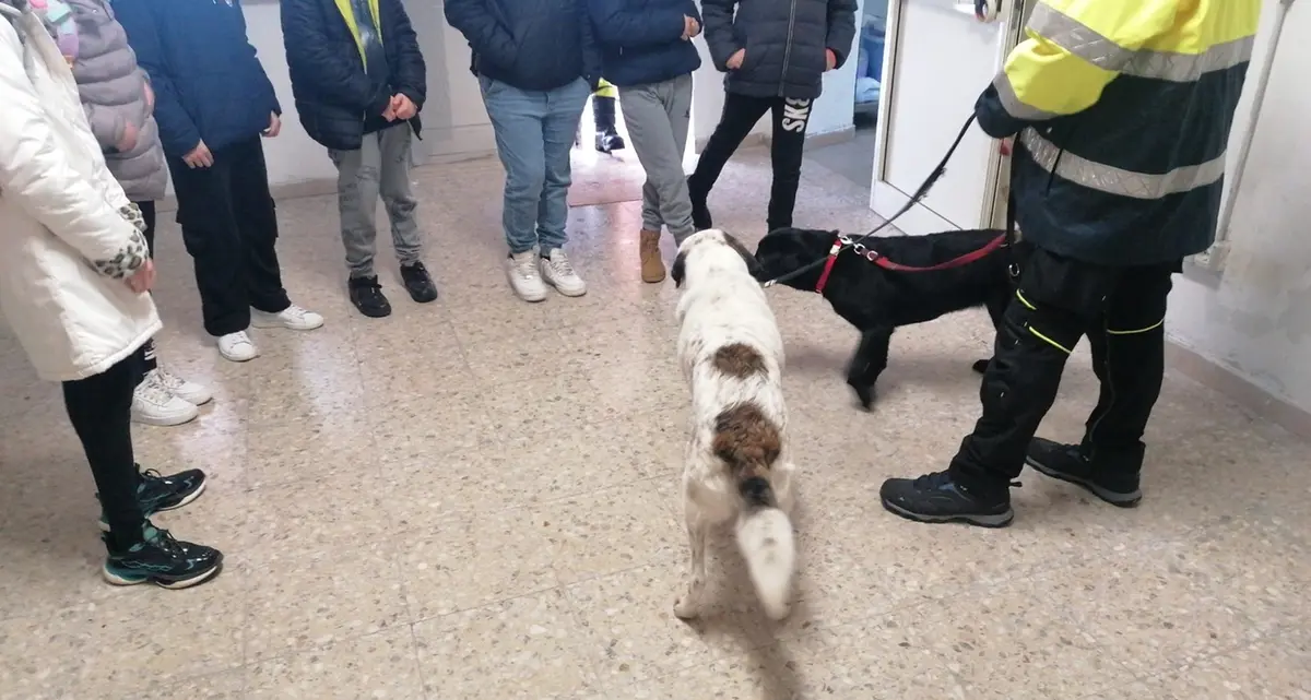 Soccorso e ricerche, quando gli alunni diventano volontari