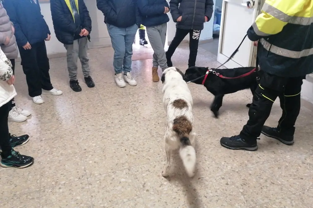 Soccorso e ricerche, quando gli alunni diventano volontari