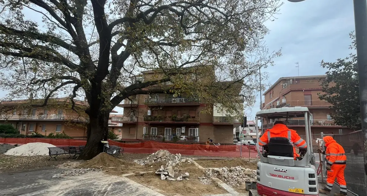 Lavori in corso alla Quercia di Largo Almunecar
