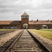 Giorno della Memoria, il Cine Club della Biblioteca propone il film di Taika Waititi