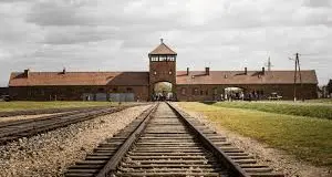 Giorno della Memoria, il Cine Club della Biblioteca propone il film di Taika Waititi